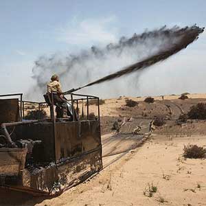 Mulching33 مالچ-پاشی